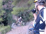 Flores escalando.JPG