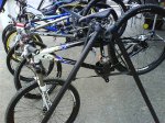 DSC00184.jpg