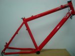 XCLUSIVE T-18 DIS con Cazoletas xtr dircc.C.k y cierre S. hope.JPG