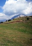 Pedraforca (27).jpg
