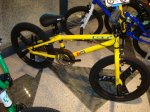festibike 07 118.jpg