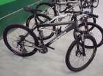 festibike 07 134.jpg