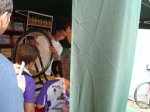 festibike 07 107.jpg