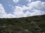 IMG_5296.JPG