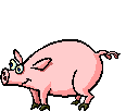 cochon[1].gif
