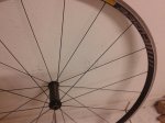 20160508_203208_resized.jpg