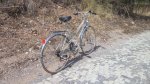 IMG_20160517_111435.jpg