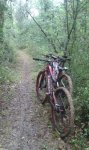 IMG-20160519-WA0008.jpg