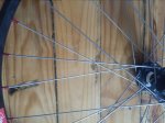 20160516_173907.jpg