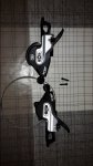 20160505_064220.jpg