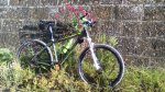 IMG_20160521_192700.jpg