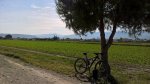 WP_20160522_09_50_24_Pro.jpg