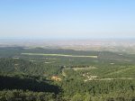IMG_2485.JPG