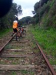 Tren2.jpg