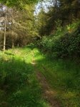 20160521_155108.jpg