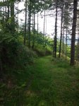20160521_155540.jpg