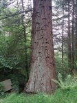 20160521_180351.jpg