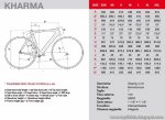 GeomBici33_thumb.jpg