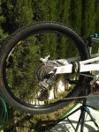 IMG_20160527_174808.jpg