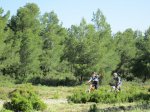 IMG_2599.JPG