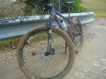 DSC08679.JPG
