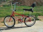 IMG-20160320-WA0010.jpg