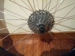 20160524_205945.jpg