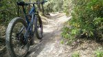IMG_20160530_111915.jpg
