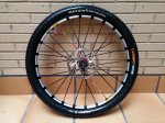 20160523_100242.jpg