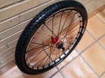 20160523_100253.jpg