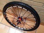 20160523_100557.jpg