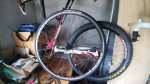20160531_105935.jpg