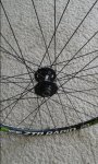 20160530_165617.jpg