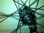 IMG_20160531_173114.jpg