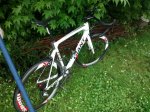 IMG_20160528_183332168.jpg