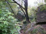 DSCN2072.JPG