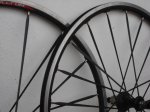 DSC01091.JPG