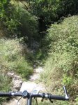 IMG_3096.JPG