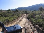 IMG_5157.JPG