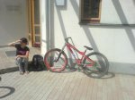 DSC00957.JPG