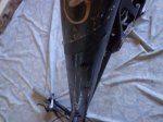 DSC00719.JPG
