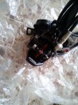 IMG_20160603_123055.jpg