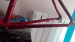 IMG_20160605_144436.jpg