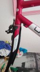 IMG_20160605_144446.jpg