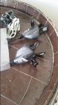 20160605_184343.jpg
