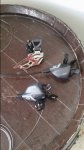 20160605_184303.jpg