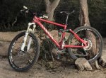 bici.jpg