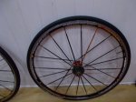 cabra laico 009.JPG