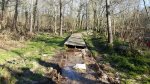 20160116_160216.jpg