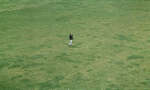 tumblr_lr281mMfFE1qe0eclo1_r6_500.gif